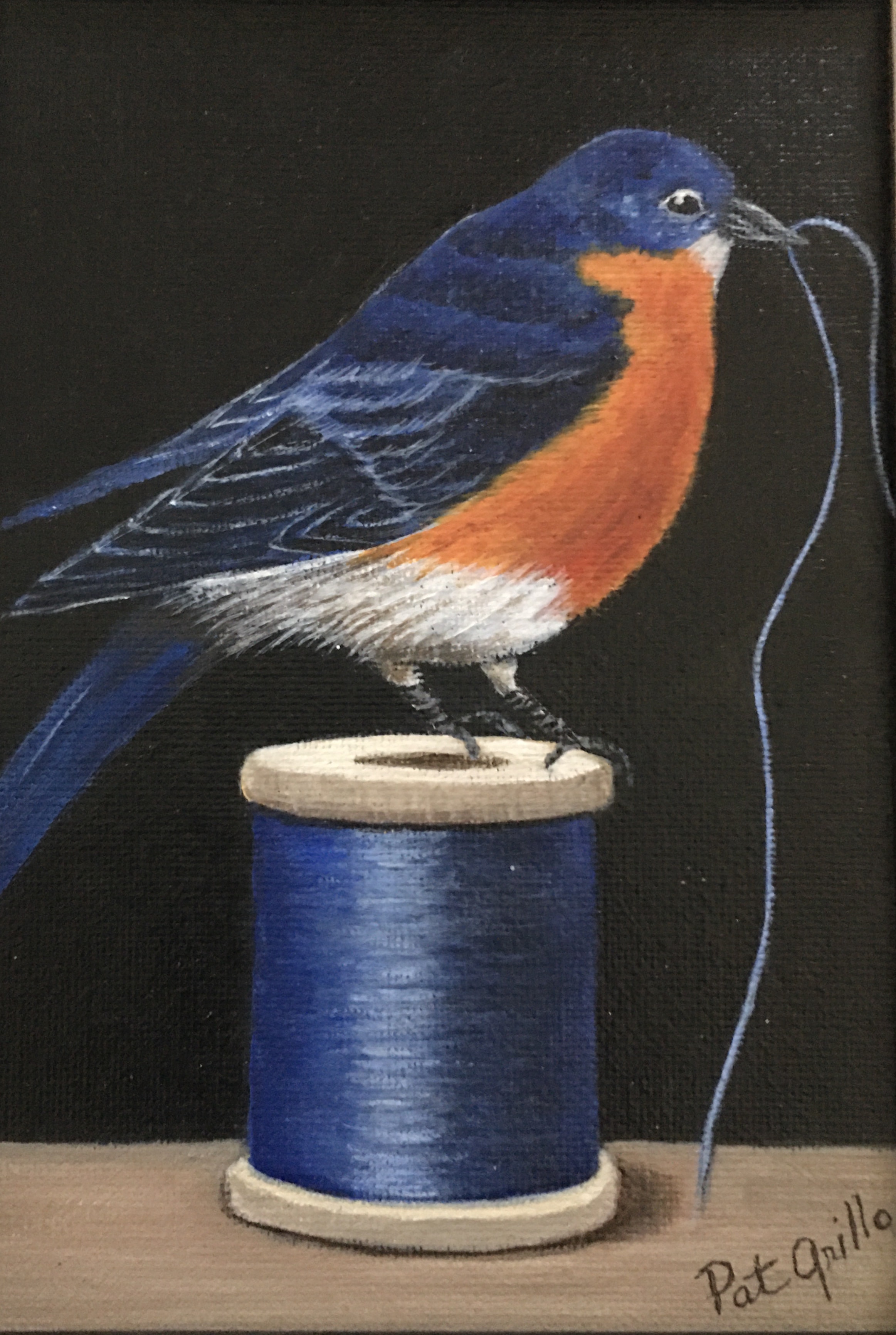 Bluebird & Thread
