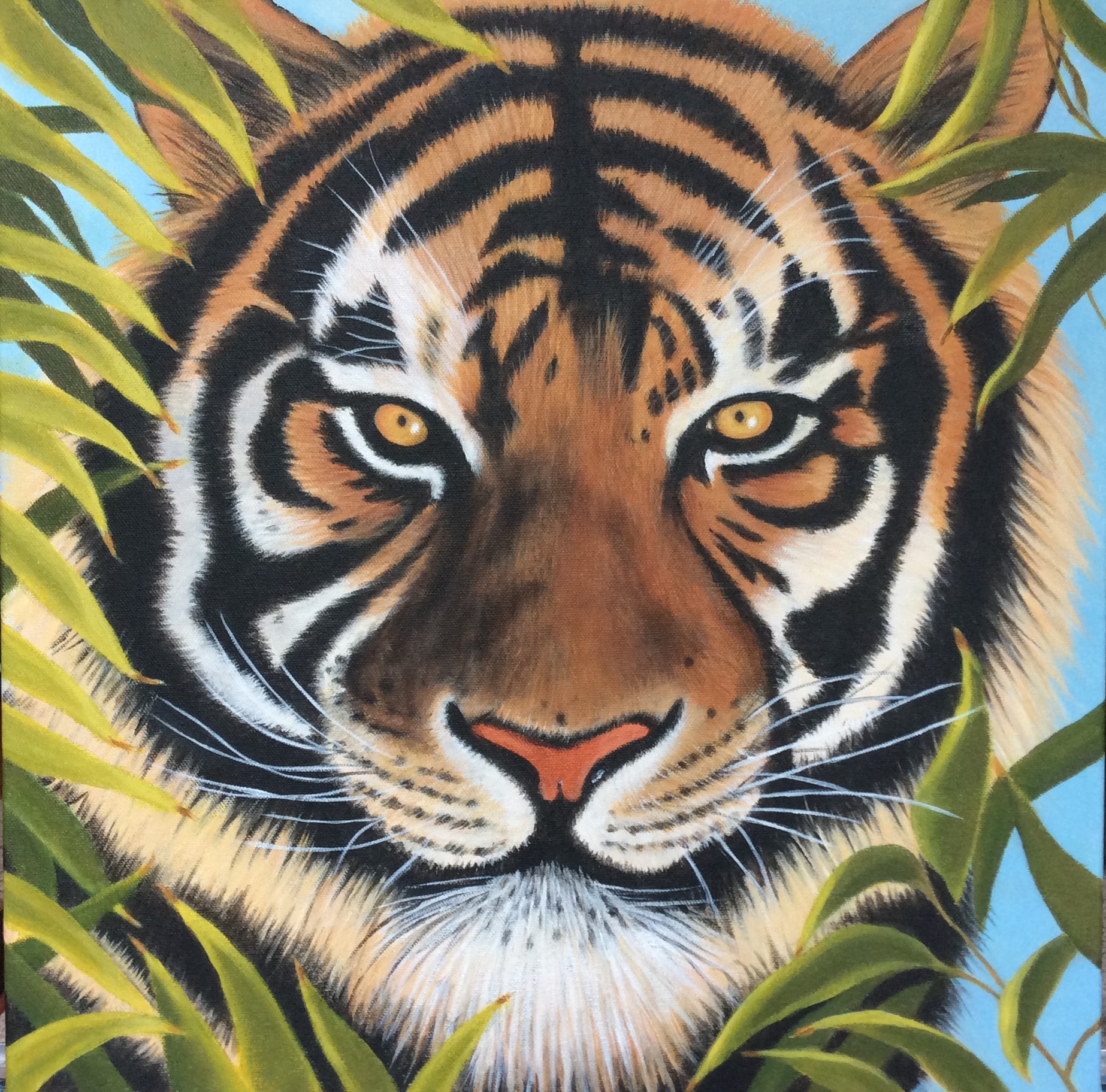 Eye of the Tiger