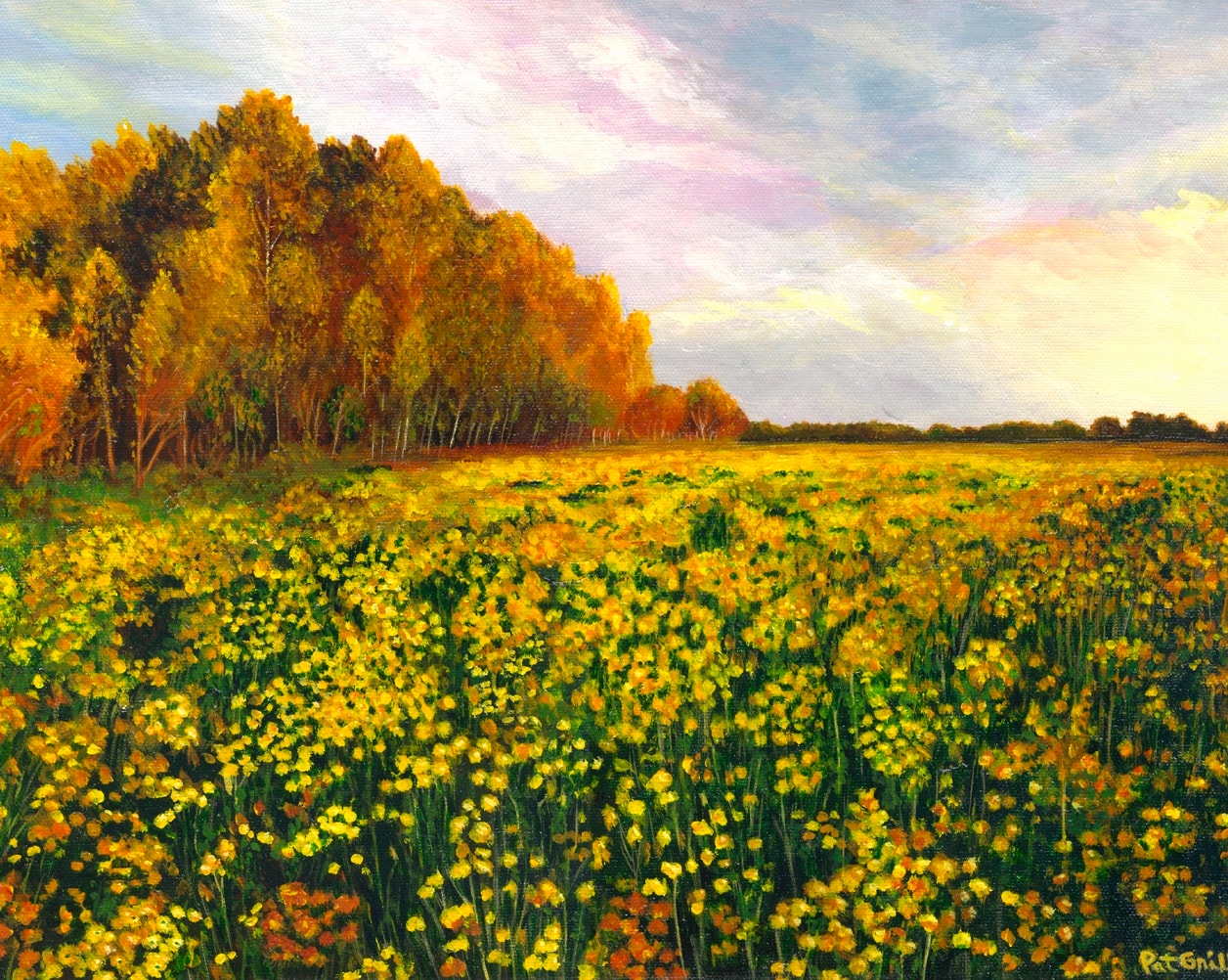 Field of Dreams