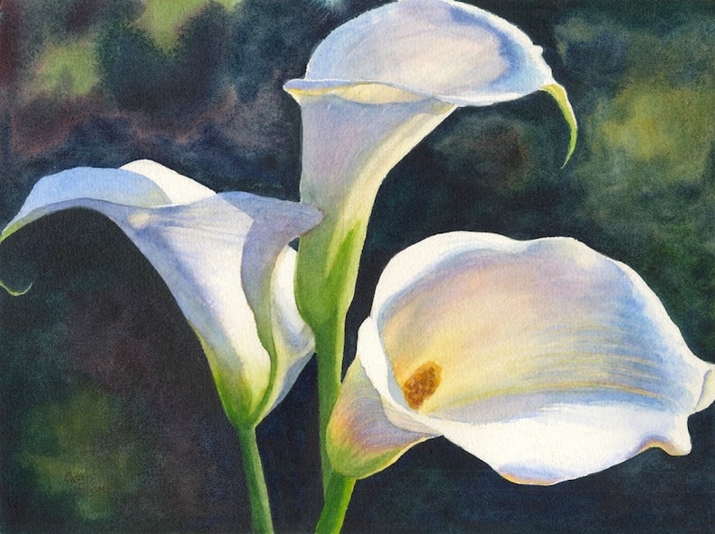 Bloom