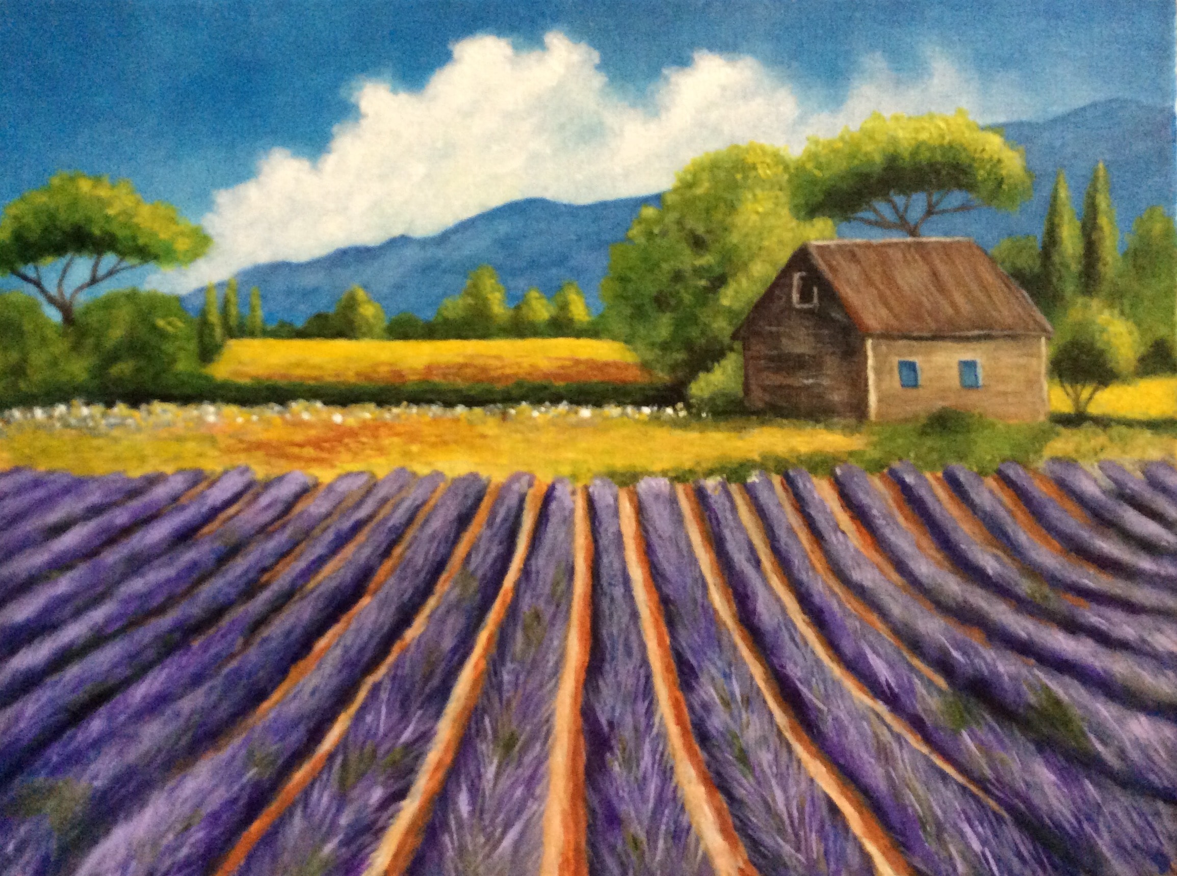 Lavender Morning