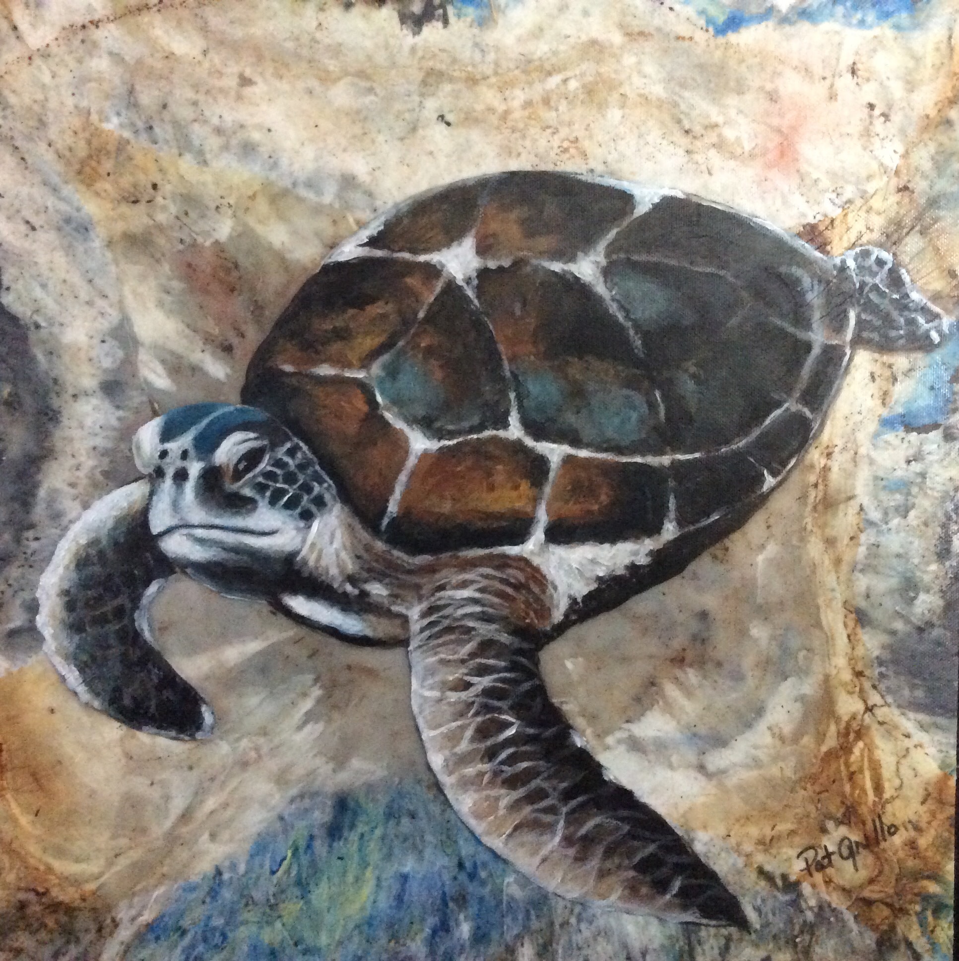 Sea Turtle Plastic