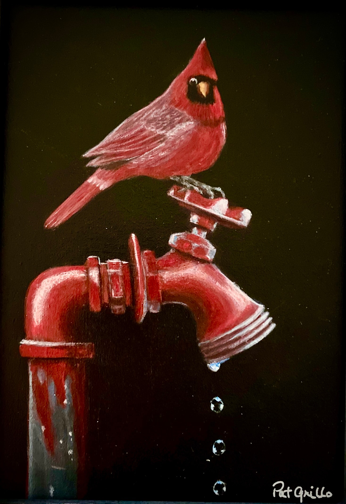 Thirsty Cardinal